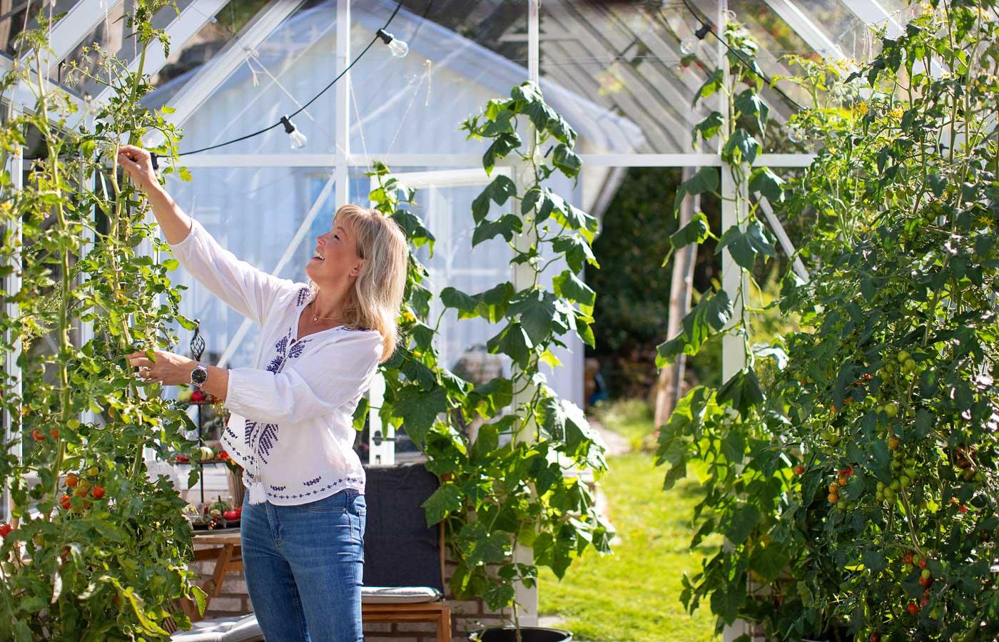 Unik växthusförsäkring