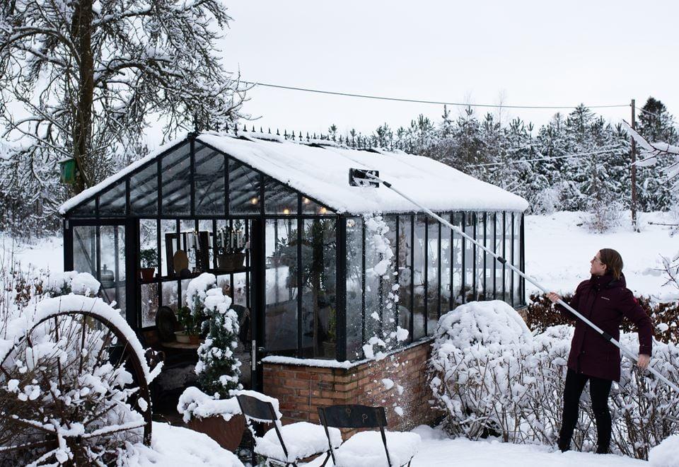 elin_alexandra_photography_willab_garden_2021_januari_18.jpg